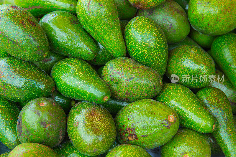 鳄梨(Persea americana)是超级水果健康食品，具有重要的营养成分。